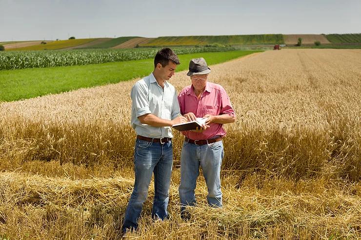 Produtores analisando as finanças da fazenda